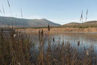 Similar image 21952944