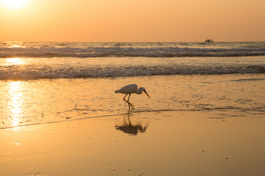 Similar image 21952952