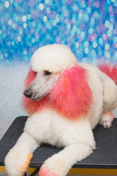 Similar image 21965072