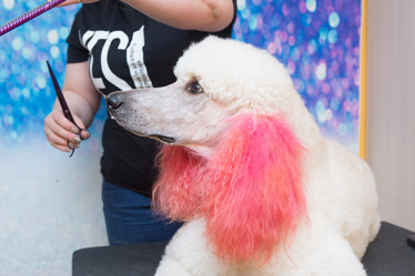 Similar image 21965073