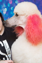 Similar image 21965074