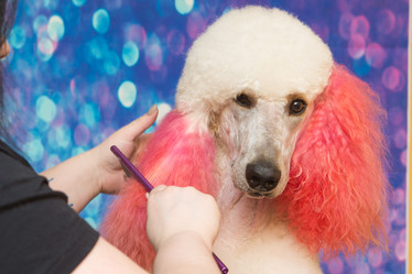 Similar image 21965075