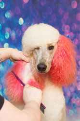 Similar image 21965077