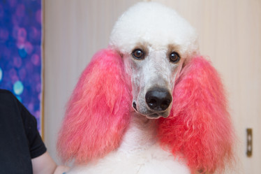 Similar image 21965079