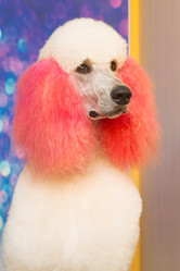 Similar image 21965080