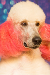 Similar image 21965081