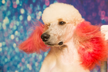 Similar image 21965083