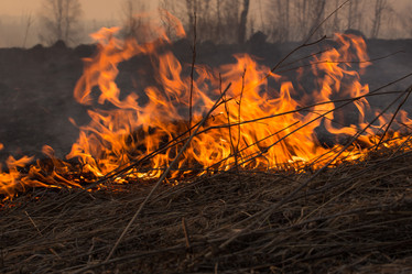 Similar image 21965085