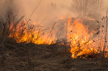 Similar image 21965365