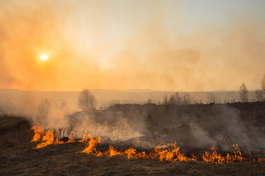 Similar image 21965369