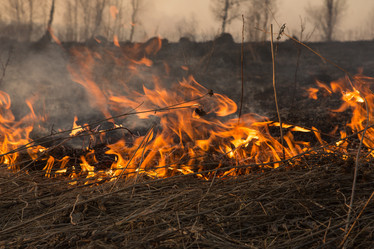 Similar image 21965375