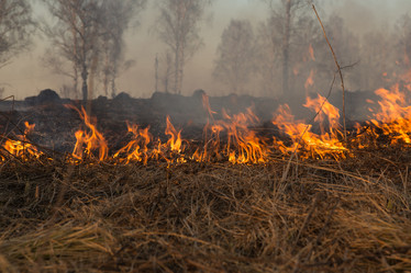 Similar image 21965377