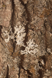 Similar image 21965378