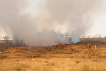 Similar image 21955168