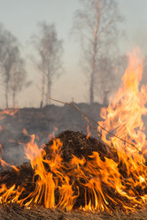 Similar image 21955169