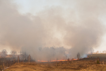 Similar image 21955170