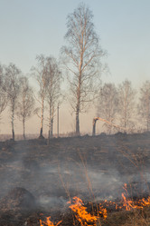 Similar image 21955171