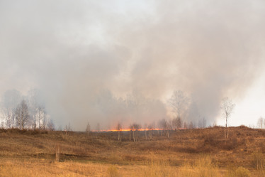 Similar image 21955172