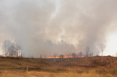 Similar image 21955174