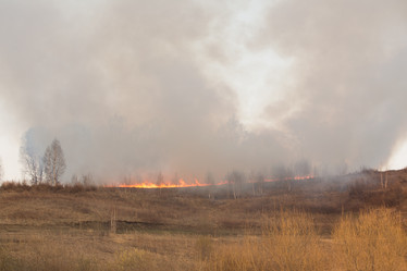 Similar image 21965090