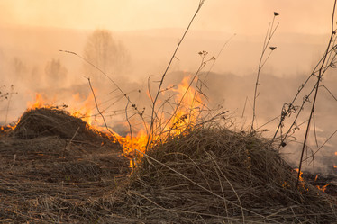 Similar image 21965091