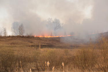 Similar image 21965092