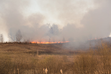 Similar image 21965094