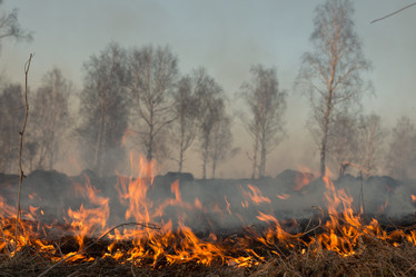 Similar image 21965095