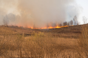 Similar image 21965096