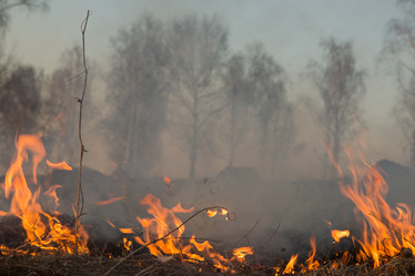 Similar image 21965097