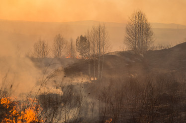 Similar image 21965098