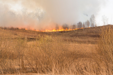 Similar image 21965099