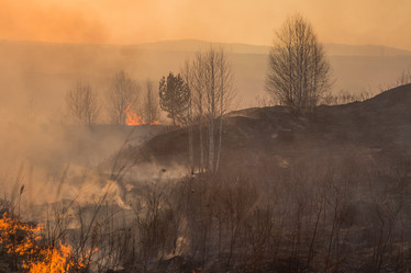 Similar image 21965100