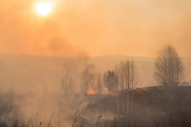 Similar image 21965102