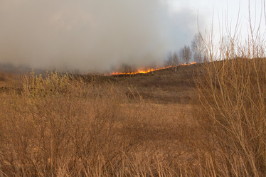 Similar image 21965103