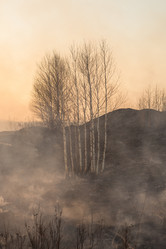 Similar image 21965104