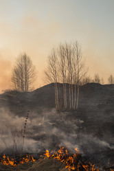 Similar image 21965106