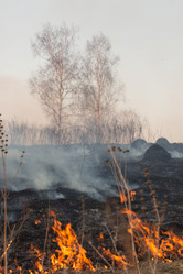 Similar image 21965380