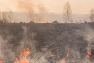 Similar image 21965381