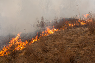 Similar image 21965382