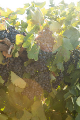 Similar image 21953135