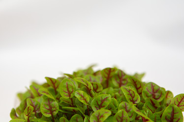 Similar image 21954556