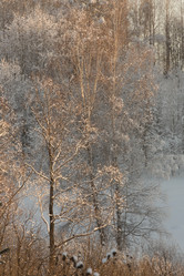 Similar image 21955285