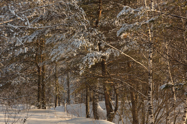 Similar image 21965110