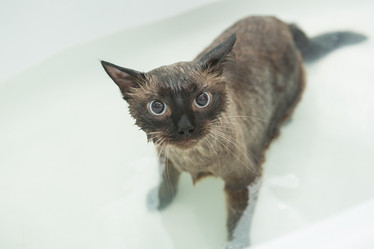 Similar image 21965119