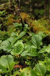 Similar image 21965122