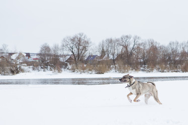 Similar image 21965126