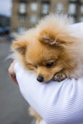 Similar image 21965128