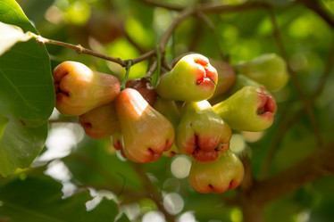 Similar image 21965390