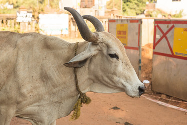 Similar image 21965392